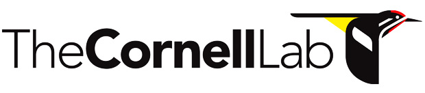 ezine/Cornell_lab_logo.jpg