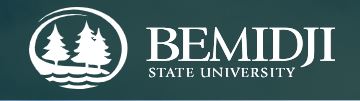 Bemidji%2bState.JPG